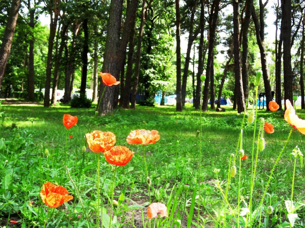 Sopot 34 Przy Plazy Villa Kültér fotó